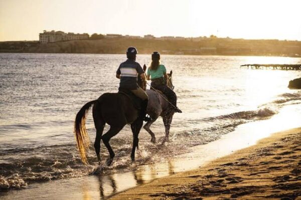 horse riding adventure in the desert of Sharm El Sheikh with Egypt Tor. Explore the stunning scenery, the Bedouin culture, and the sunset over the mountains. Book your tour today