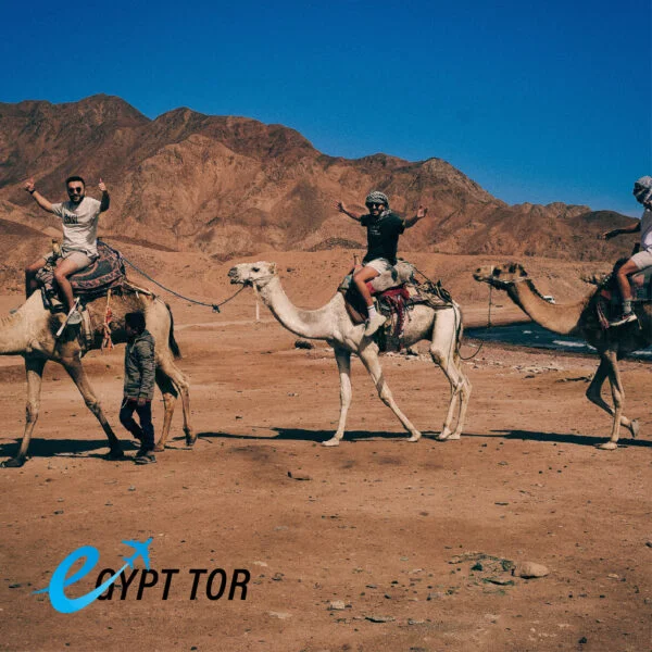 Things to do Sharm el Sheikh Egypt tor Sharm el sheikh tours Camel Ride in Sharm EL Sheikh Desert Trips