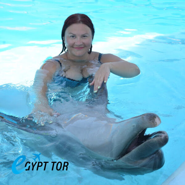 Swimming with dolphins | Sharm El Sheikh Family Trips Swim with Dolphins Sharm El Sheikh
